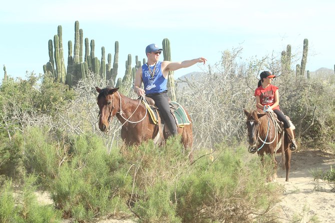 Horseback Riding Tour in Cabo San Lucas - Recommended Attire and Accessories