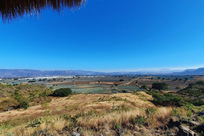 Horseback Riding Tour in the Agave Field With Lunch - Guest Reviews