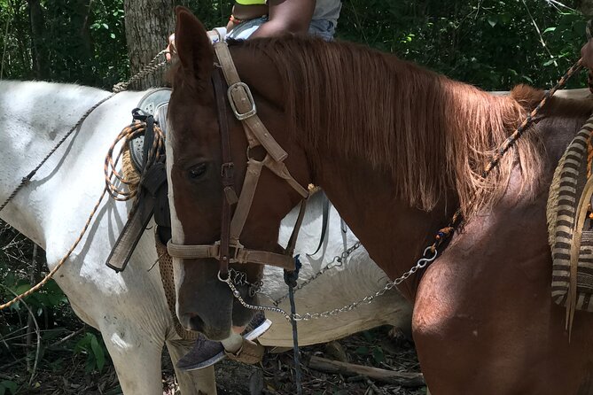 Horseback Riding With Atv, Zip Lines and Cenote, Lunch and Transfer - Meeting and Pickup Details