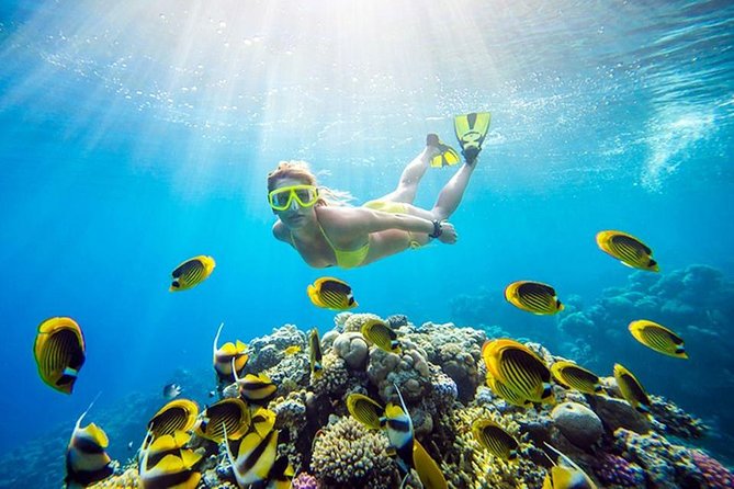 Hula Hula Island Sea Trip With Lunch and Water Sports HURGHADA - Lunch and Refreshments
