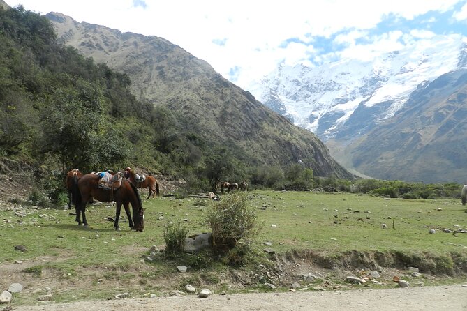 Humantay Lake Tour From Cusco - Why Choose the Humantay Lake Tour