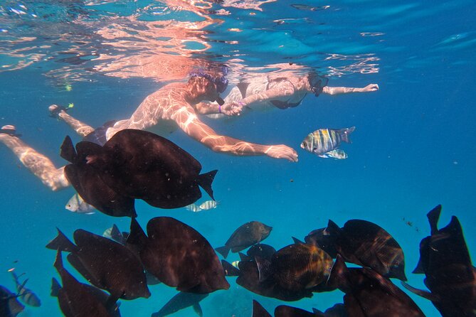 Hurghada Speedboat Trip to Orange Bay and Magawish Islands - Participant Guidelines and Restrictions