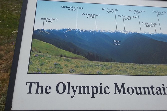 Hurricane Ridge Olympic National Park From Seattle - Customer Experiences