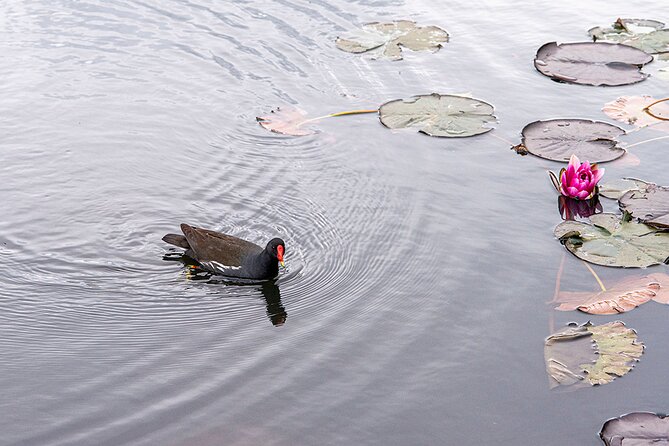 I LOV IT - Tivoli Park Tour - Outdoor Activities in Tivoli Park