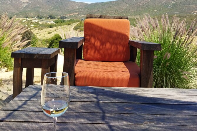 I Want More Wine, Valle De Guadalupe Tours - Pickup and Timing