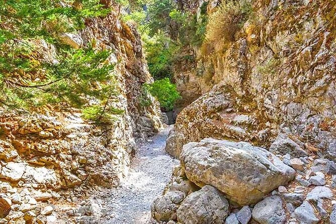 Imbros Gorge and Libyan Sea Day Tour From Rethymno - Group Size and Languages