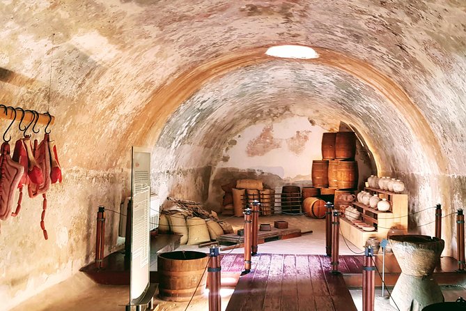 Immersive & Fun Historical Cultural Experience &City Market Visit - Guided Tour of Fort of San Diego