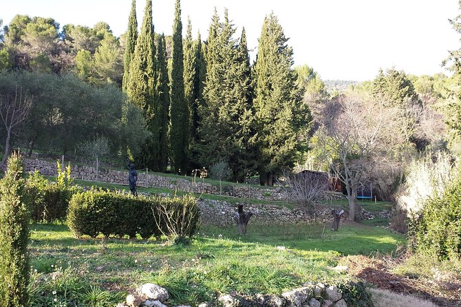 In the Secret of Perfumes and Flowers-Private Tour Full Day- - Private Tour Highlights and Inclusions