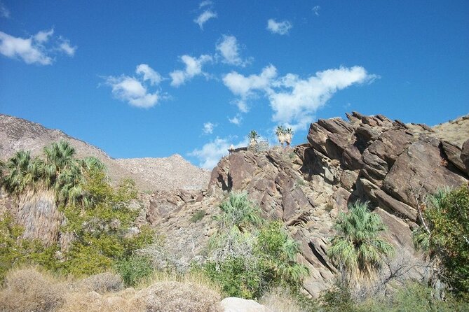 Indian Canyons Hiking Tour by Jeep From Palm Desert - Booking Information