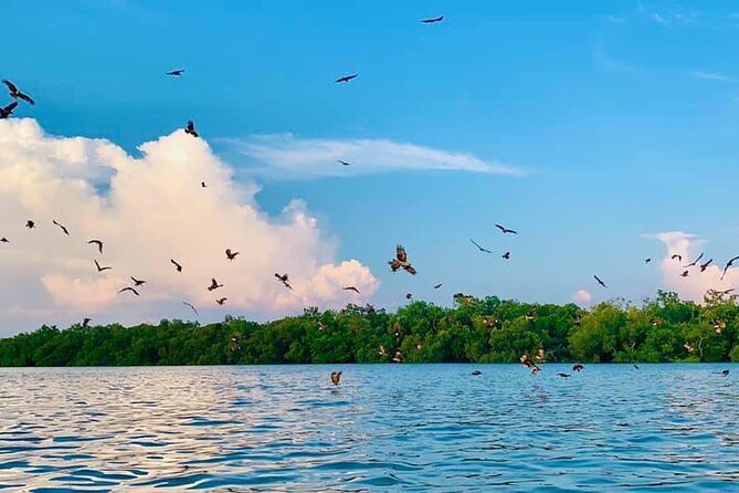 Instagrammable Kuala Selangor Sky Mirror Tour With Transfer - The Sum Up