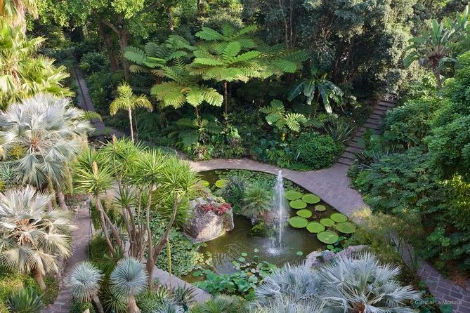 Ischia and La Mortella Gardens - Accessibility and Accommodations