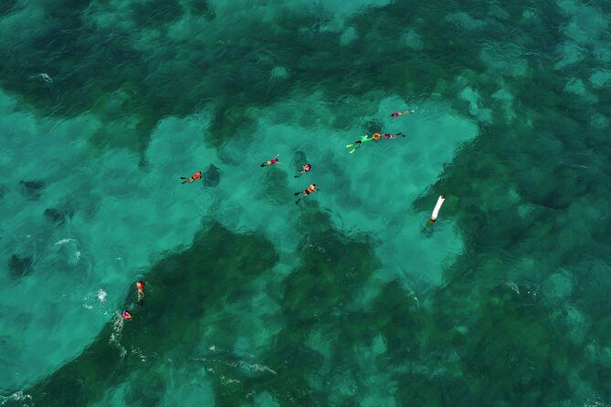 Isla Mujeres Island and Snorkeling Tour - Snorkeling Experience