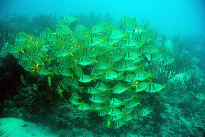 Isla Mujeres Private Dream Getaway - Pricing & Booking