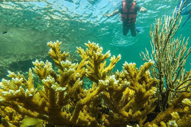 Isla Mujeres Snorkeling Tour Adventure - Health and Safety Considerations