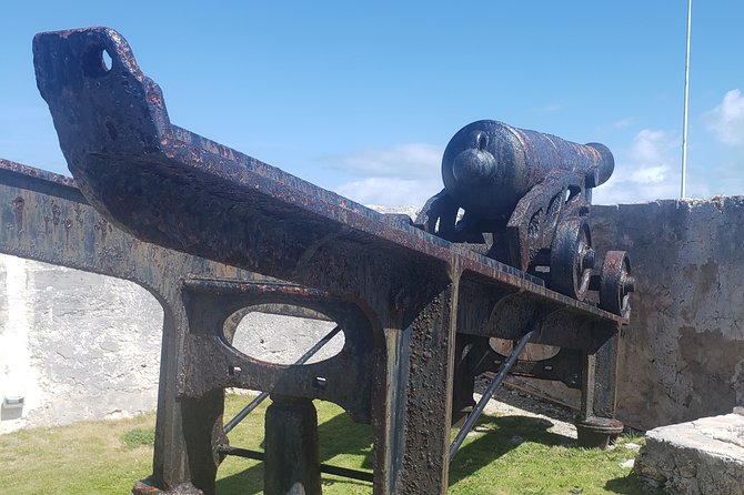 Island City Tour - Highlights and Experiences