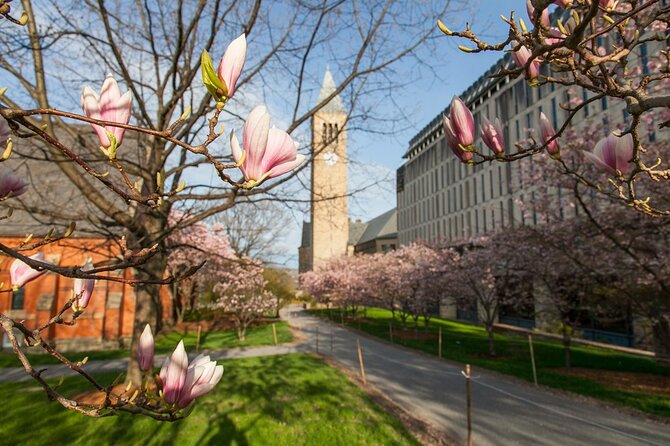 Ithaca's Historic Gems: A Cultural Walkabout - Navigating Ithacas Walkable Trails