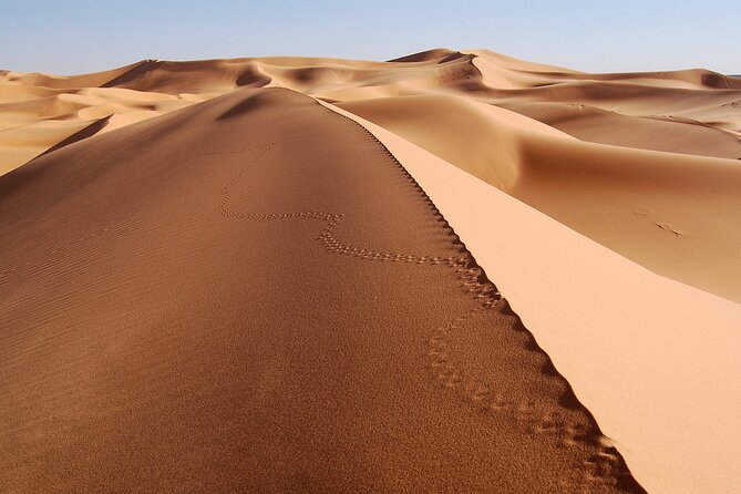 Jaisalmer Overnight Stargazing Desert Safari - Tips for Travelers