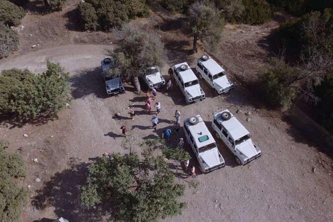 Jeep Safari Akamas Expedition From Limassol - Scenic Viewpoints and Formations