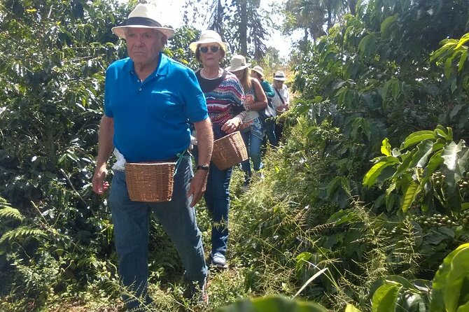 Jericó Full-Day Tour - Exploring Jericó