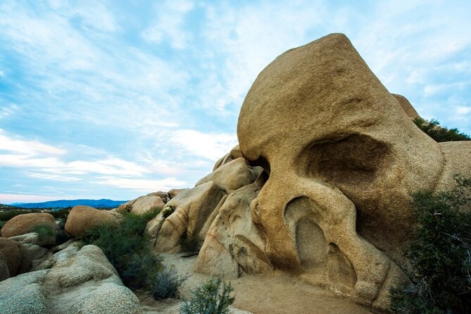 Joshua Tree National Park Driving Tour Review - Potential Issues