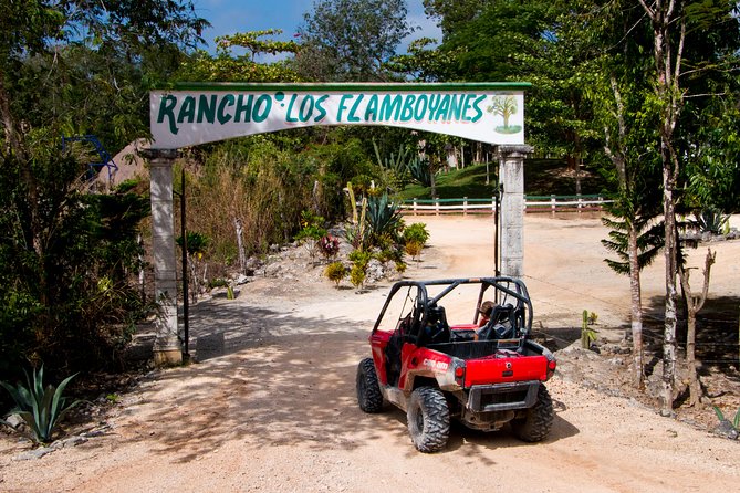 Jungle Buggy Tour From Playa Del Carmen Including Cenote Swim - Traveler Experiences and Reviews