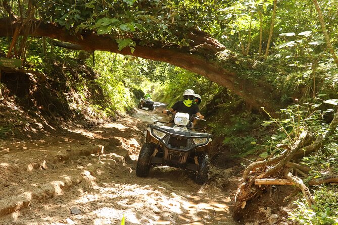 Jungle Double ATV Tour El Mirador (Ride Tandem on Atv) - Customer Reviews and Feedback
