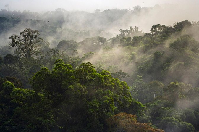 Jungle Expedition Through the Childrens Eternal Rainforest - Logistics and Transportation