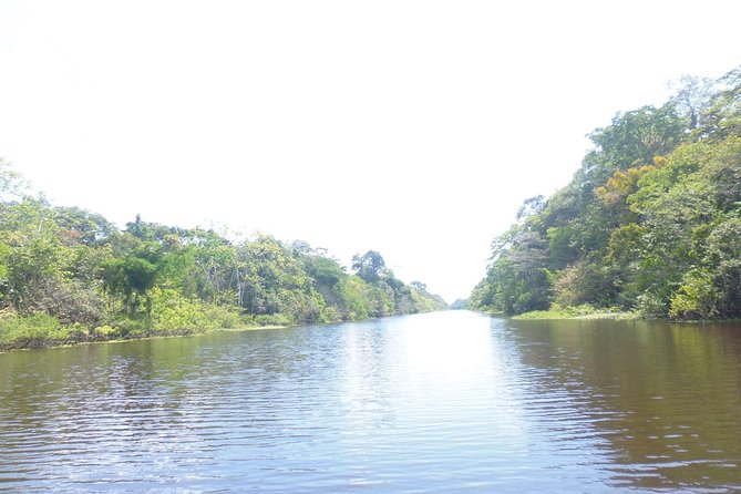 Jungle Tour 3 Days / 2 Nights - Activity Details