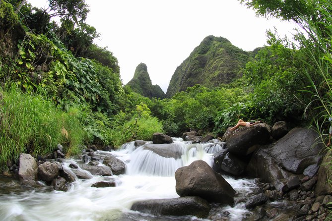 Kahului Shore Excursion: Private Tropics of Maui & Rainforest - Tour Logistics and Details