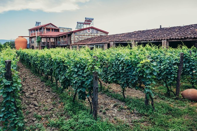 Kakheti Private 2-Day Wine Tour From Tbilisi - Traveler Photos From the Kakheti Region