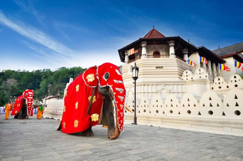 Kandy City Tours With Ambuluwawa Tower - Botanical Garden and Tea Factory