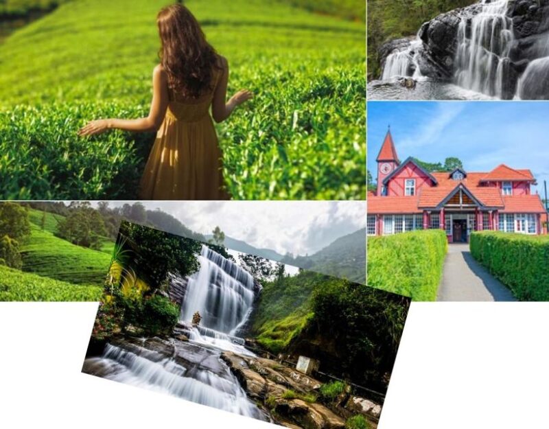 Kandy To Nuwara Eliya Day Tour By Tuk Tuk Sri Lanka - Inclusions and Exclusions
