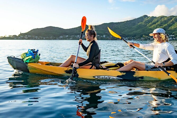 Kaneohe Bay Coral Reef Kayak Tour Review - Tour Experiences and Insights