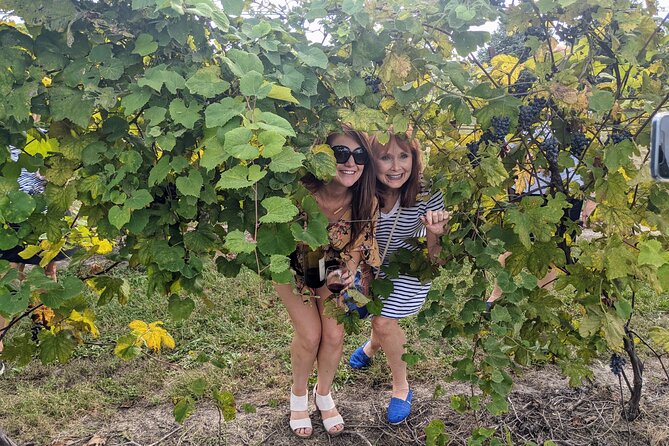 Kansas City Brewery, Winery, and Distillery Tour - Tasting Experiences