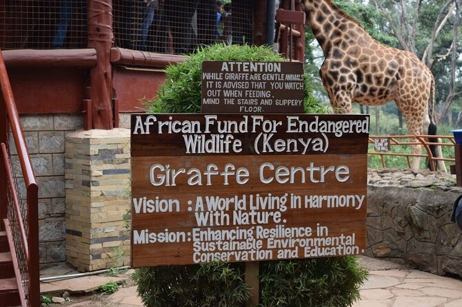 Karen Blixen Museum & Giraffe Centre Half Day Tour - Knowledgeable Guides