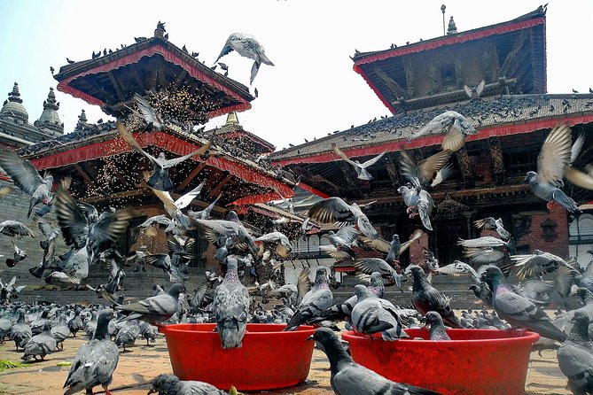 Kathmandu Day Tour - Health and Safety Considerations