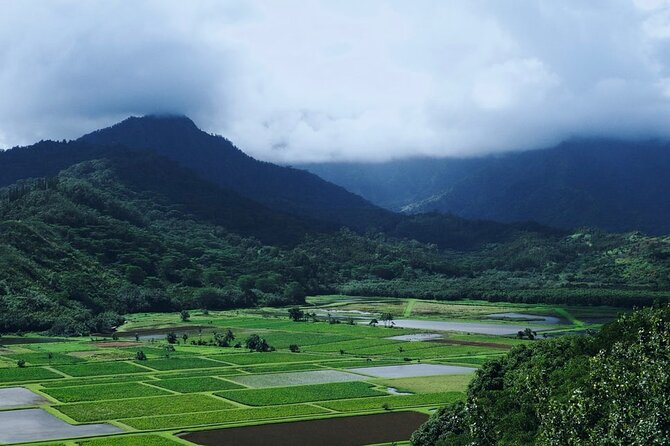 Kauai North Shore Private Guided Tour With Hotel or Port Pick-Up - Booking Process