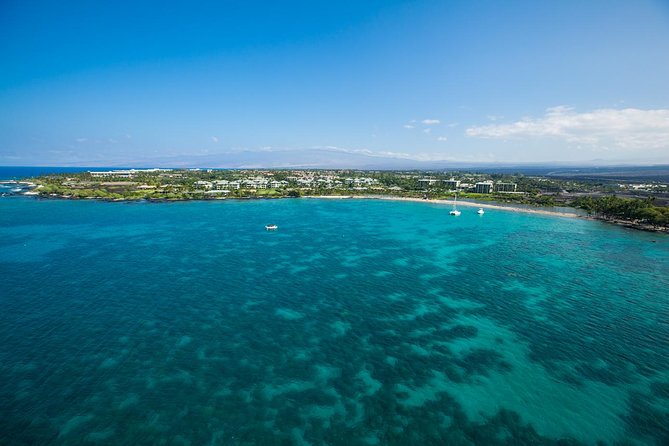 Kawaihae Whale Watch - Guaranteed - Customer Feedback and Insights