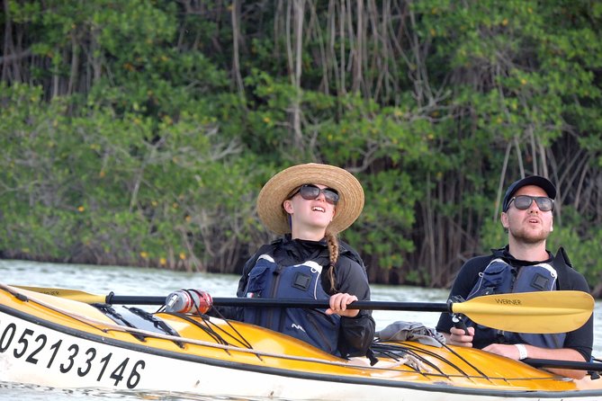Kayak Biosphere Reserve Sunset Tour - Provided Sustenance