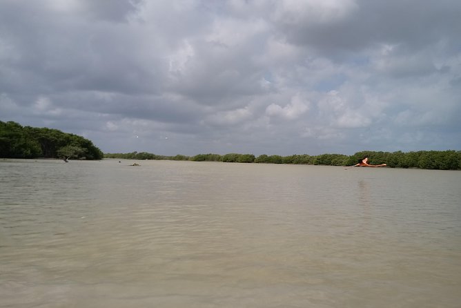 Kayak Through Mangroves to Secret Beach - Health and Safety Considerations