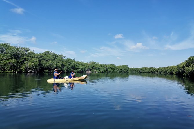 Kayak Tour in Laguna Nichupte Cancun - Experience Highlights
