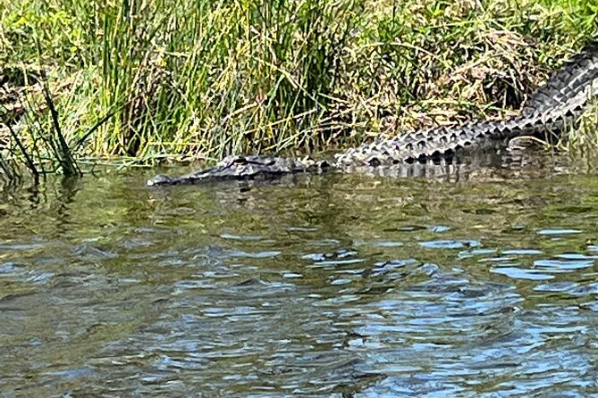 Kayak Tour Of The Honey Island Swamp and Backwaters - Cancellation Policy