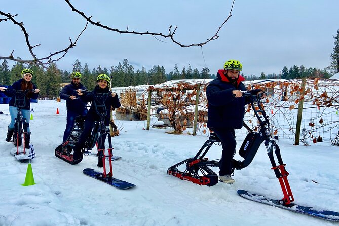 Kelowna Snow E-Biking Adventure With Lunch, Wine Tasting & Smores - Booking Information