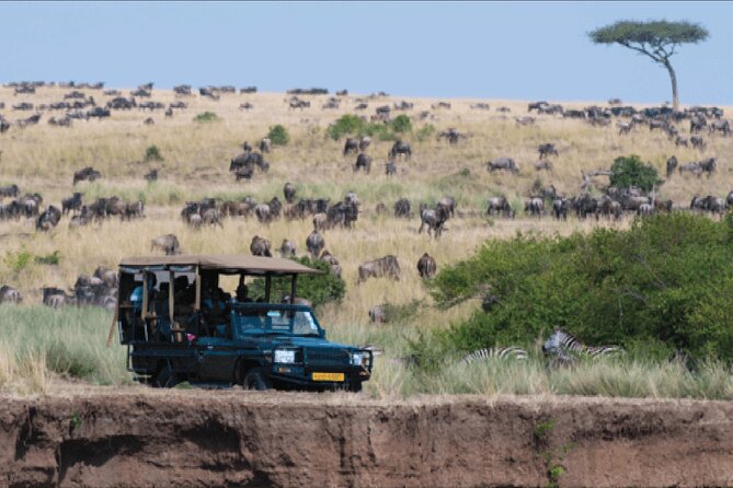 Kenya Safari - Daily Itinerary