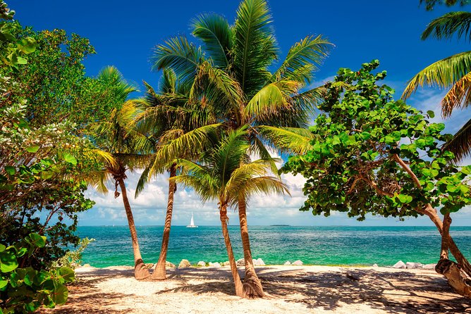 Key West Sail and Snorkel Day Trip From Fort Lauderdale - Included and Excluded Offerings