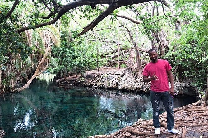 Kikuletwa Hot-spring - Inclusions, Costs, and Policies
