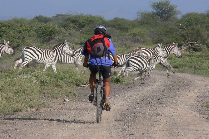 Kilimanjaro 360 - Meals and Sustenance