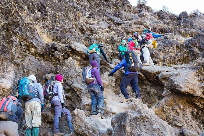 Kilimanjaro 7 Day Private Trekking Experience - Pre-Climb Preparation Guidance