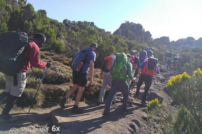 Kilimanjaro Climb- Lemosho Route - Cuisine and Meals