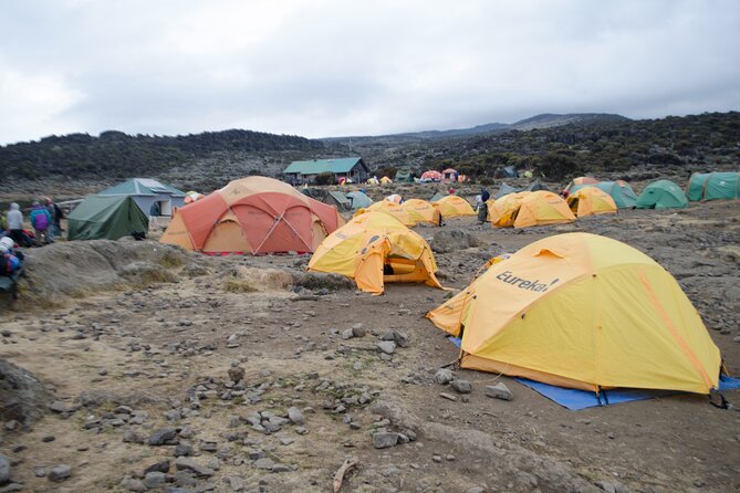 Kilimanjaro Lemosho Route 7 Days - Route Overview
